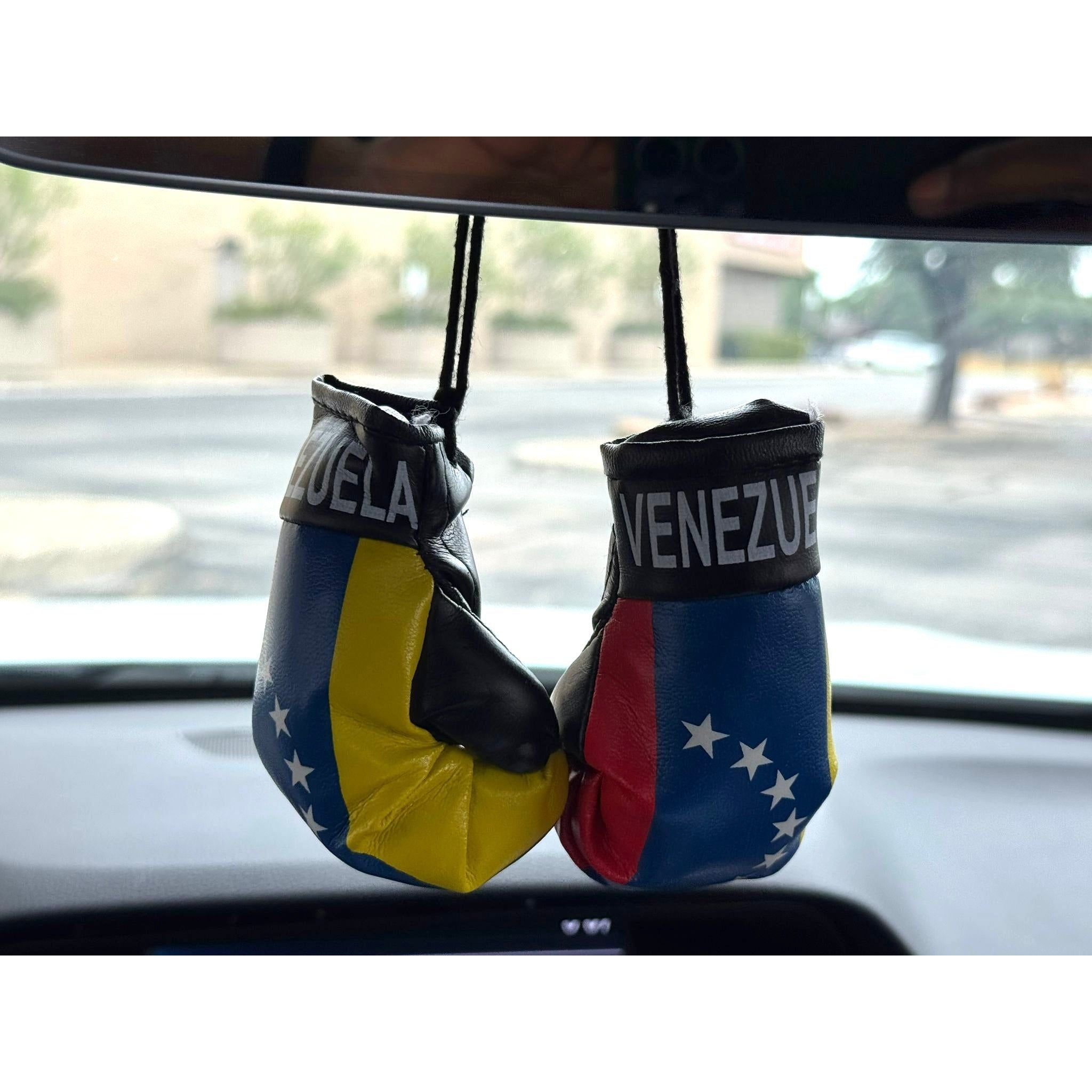 Boxing gloves - venezuela mini boxing