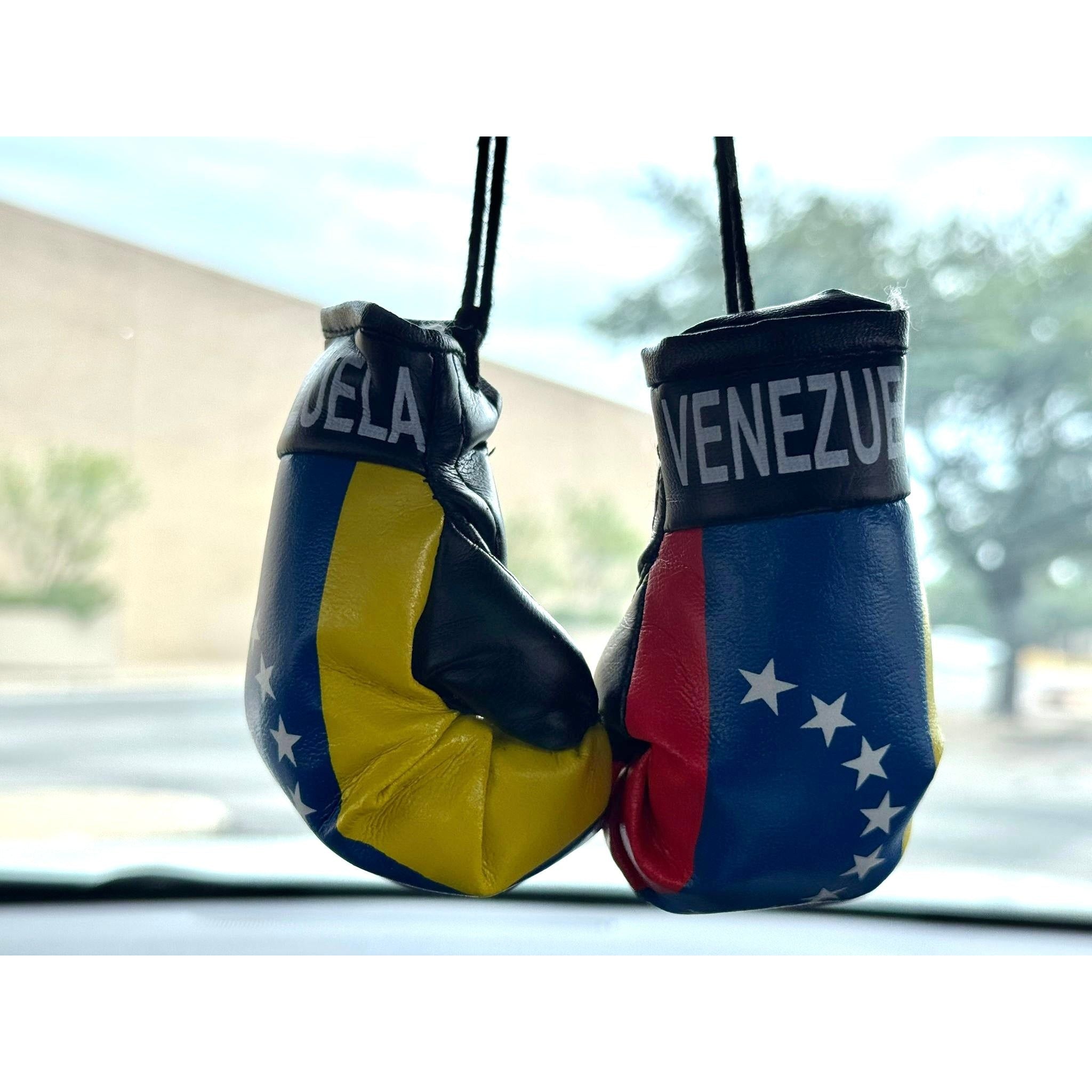 Boxing gloves - venezuela mini boxing