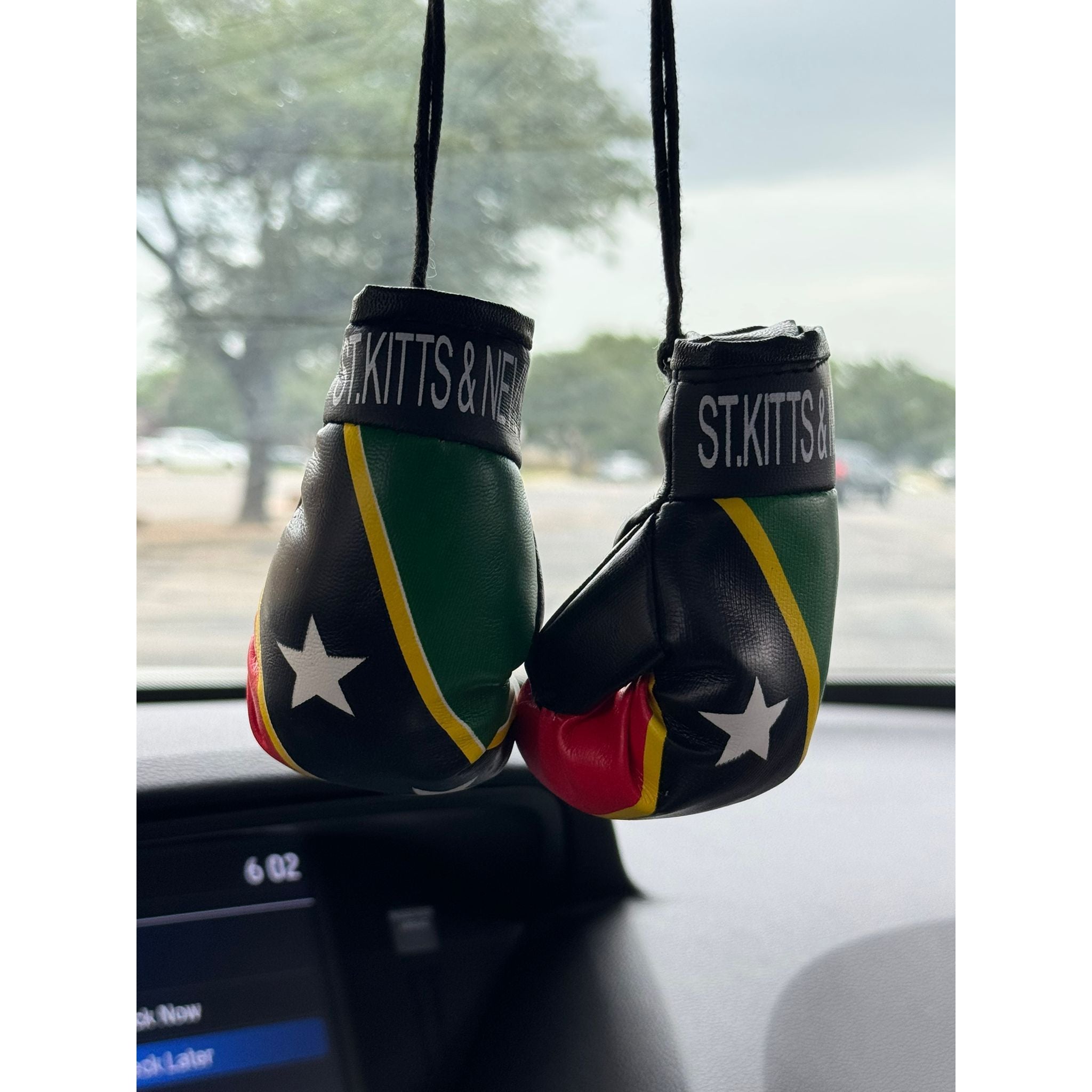Boxing Gloves ST.Kitts & Nevis