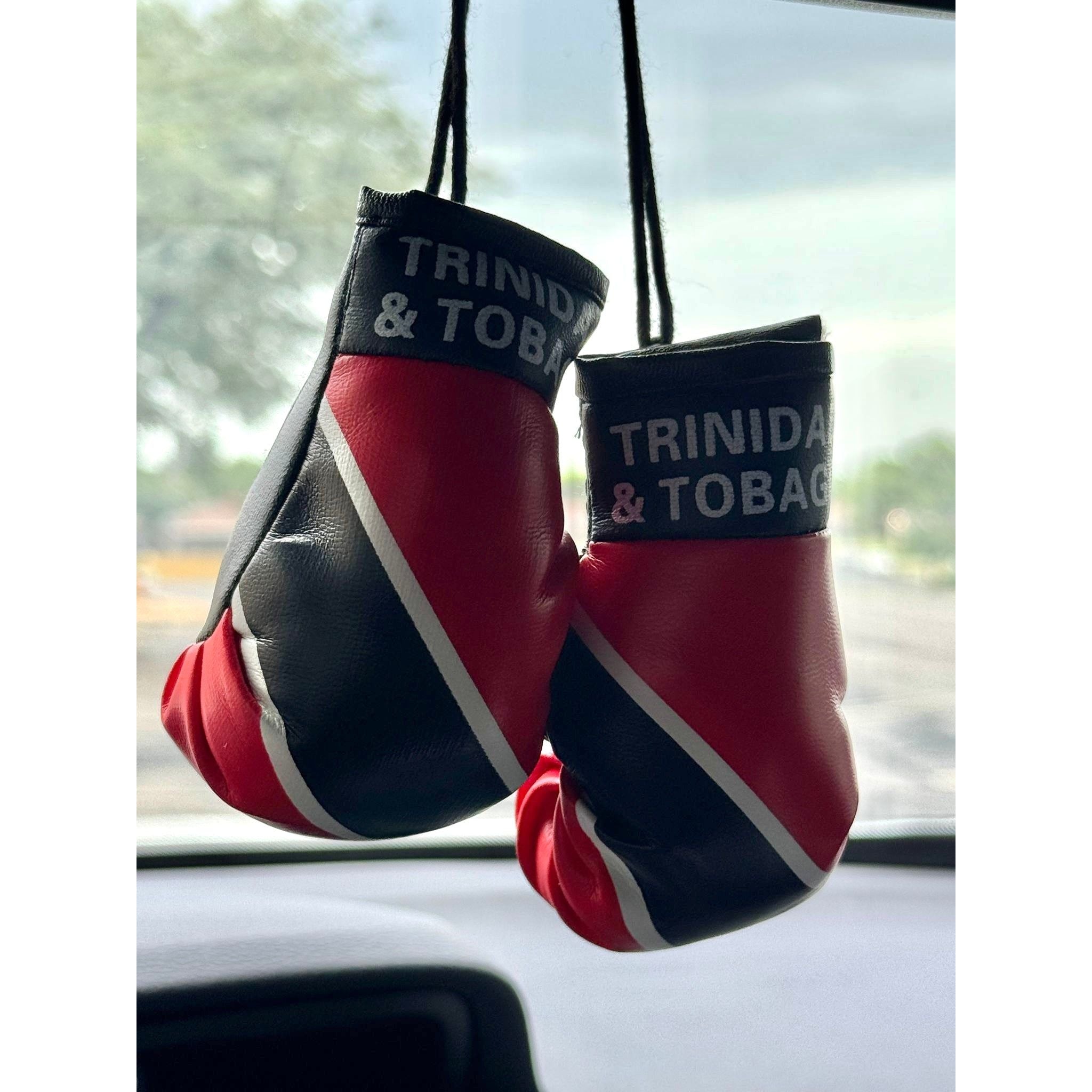 Boxing Gloves Trinidad & Tobago