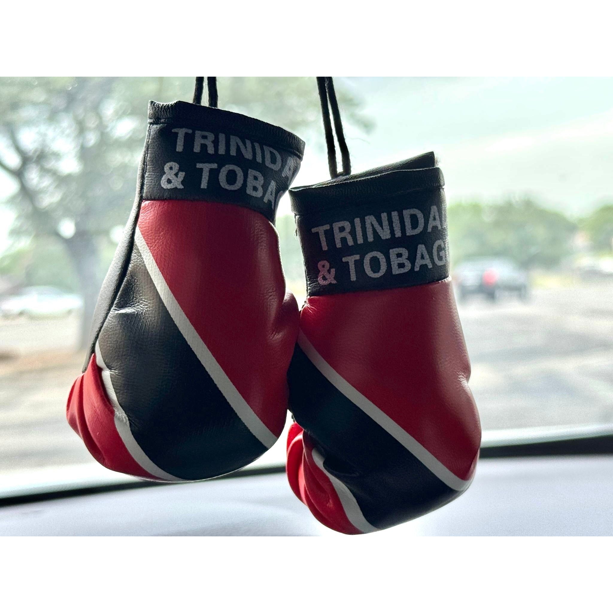 Boxing Gloves Trinidad & Tobago