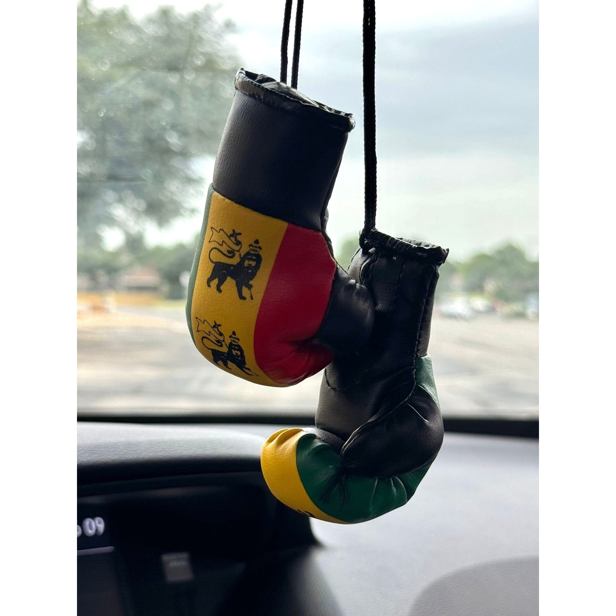 Boxing Gloves-Lion Of Judah