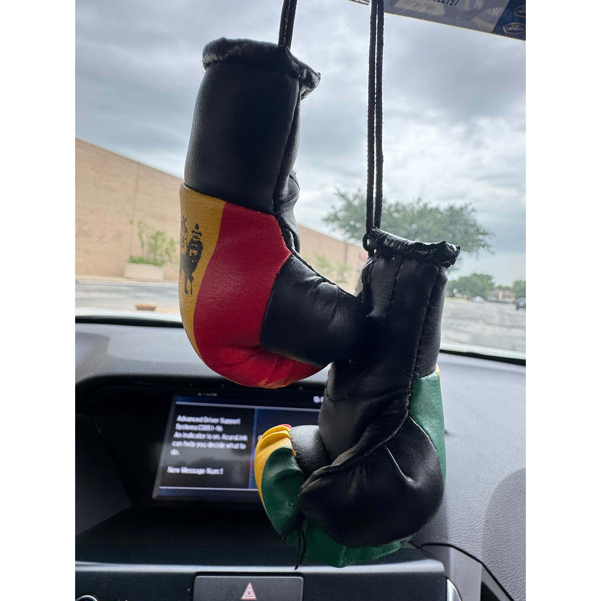 Boxing Gloves-Lion Of Judah