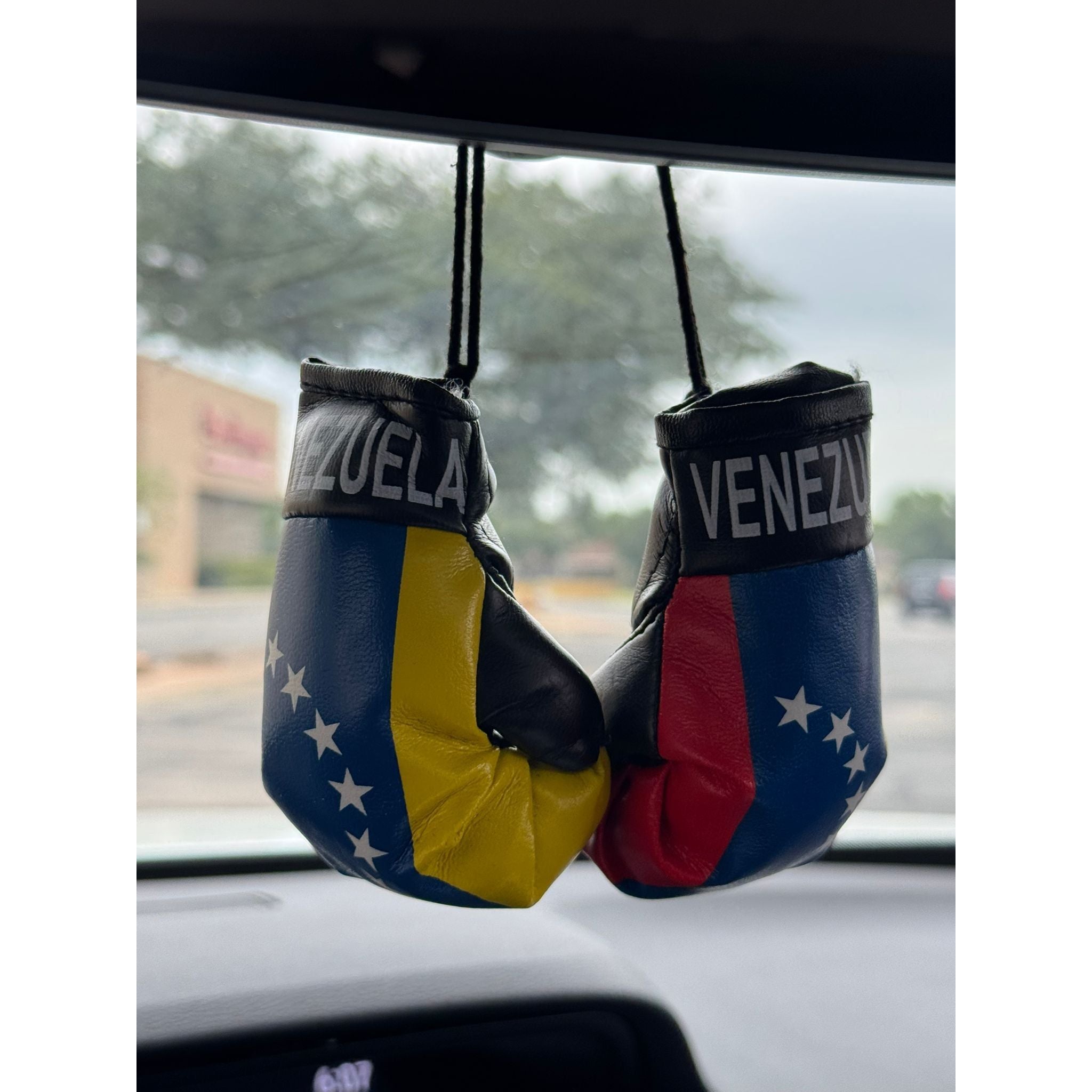 Boxing gloves - venezuela mini boxing