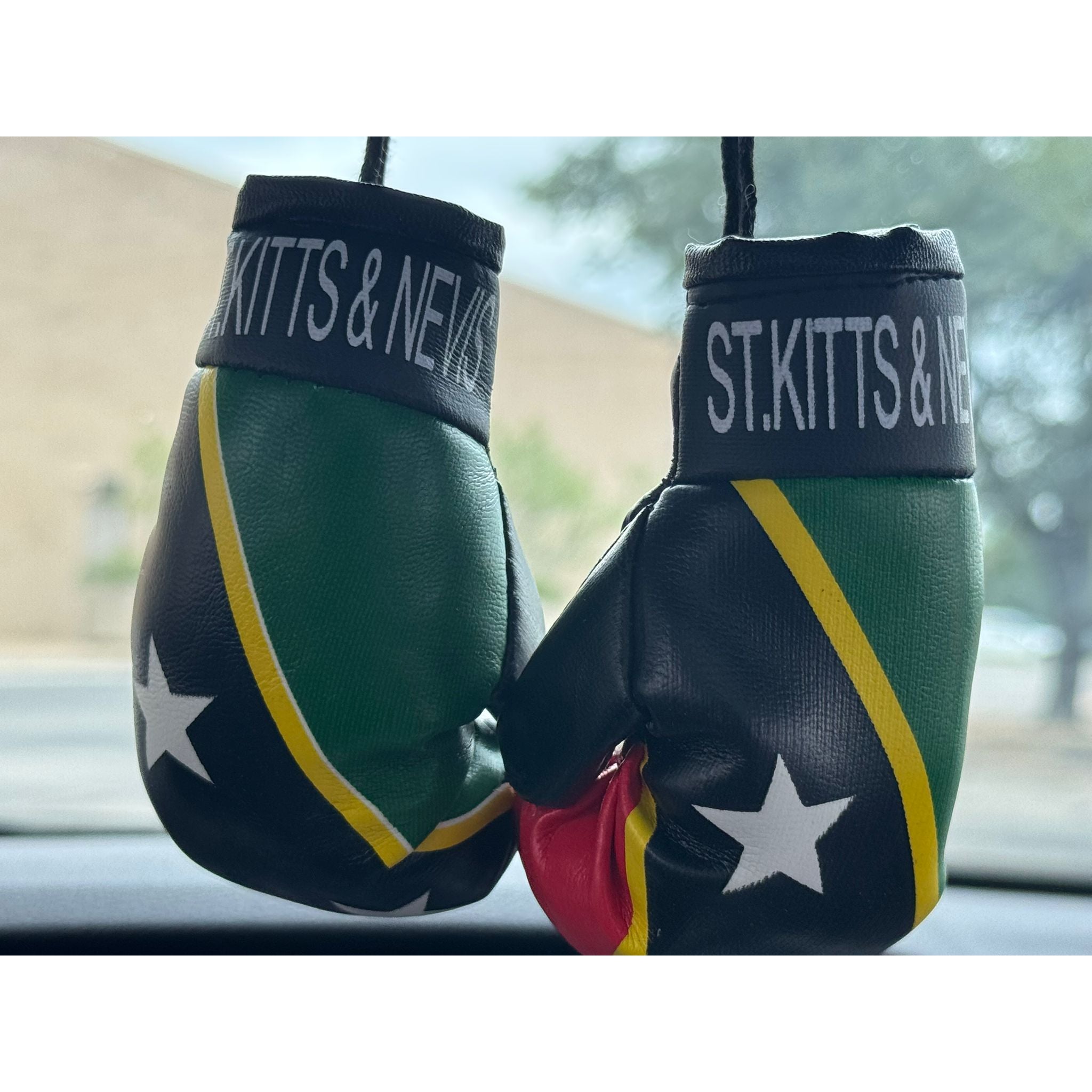 Boxing Gloves ST.Kitts & Nevis