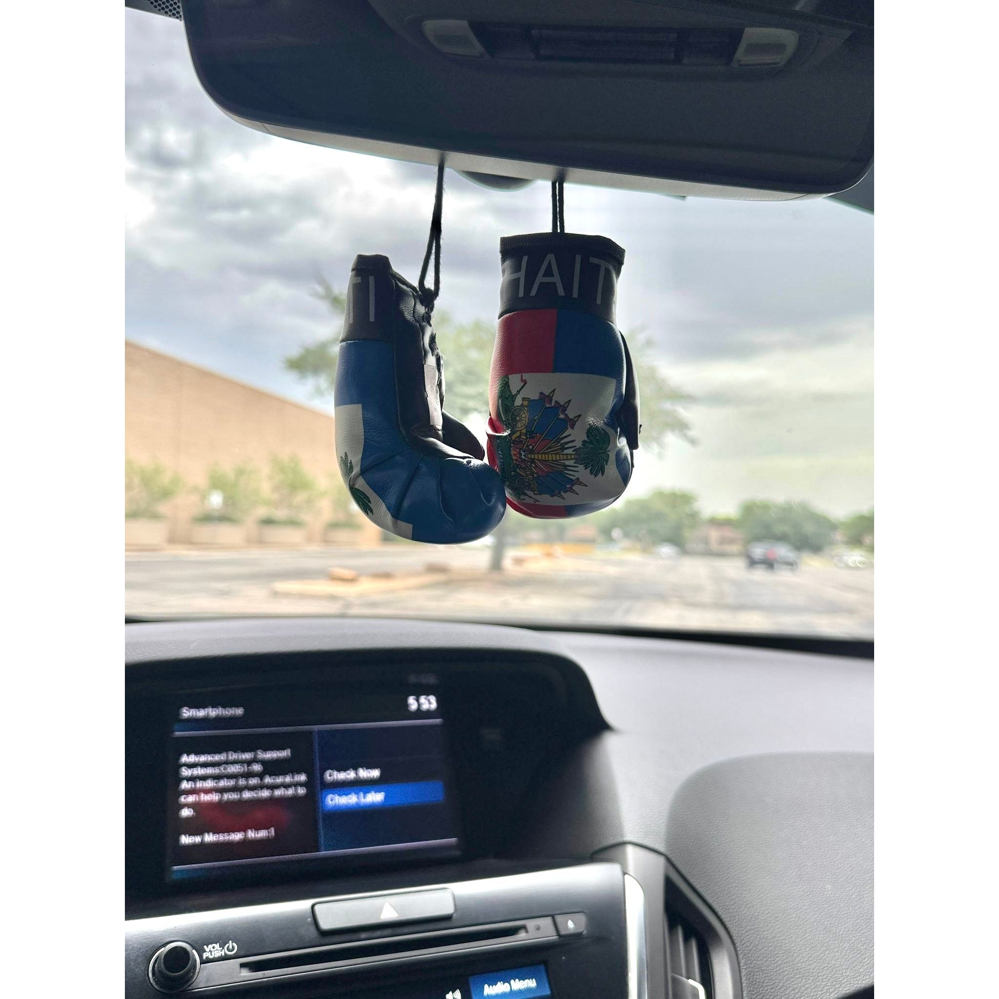 Boxing Gloves Haiti Flag (Lg)