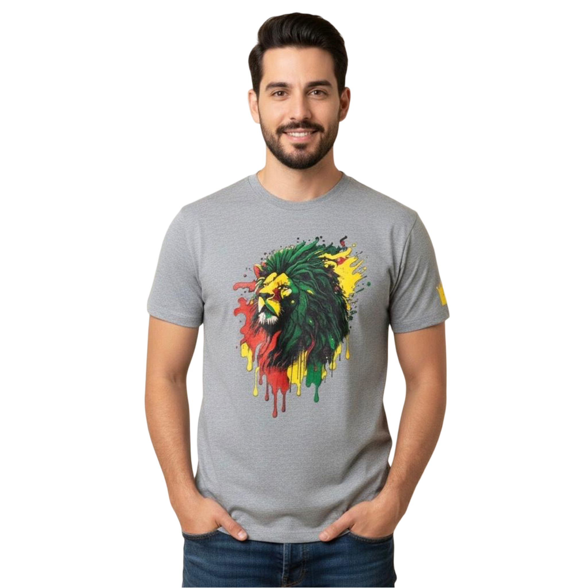 KV Lion Head T-Shirt /Gray
